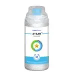 Ayaan