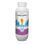 Boris Super