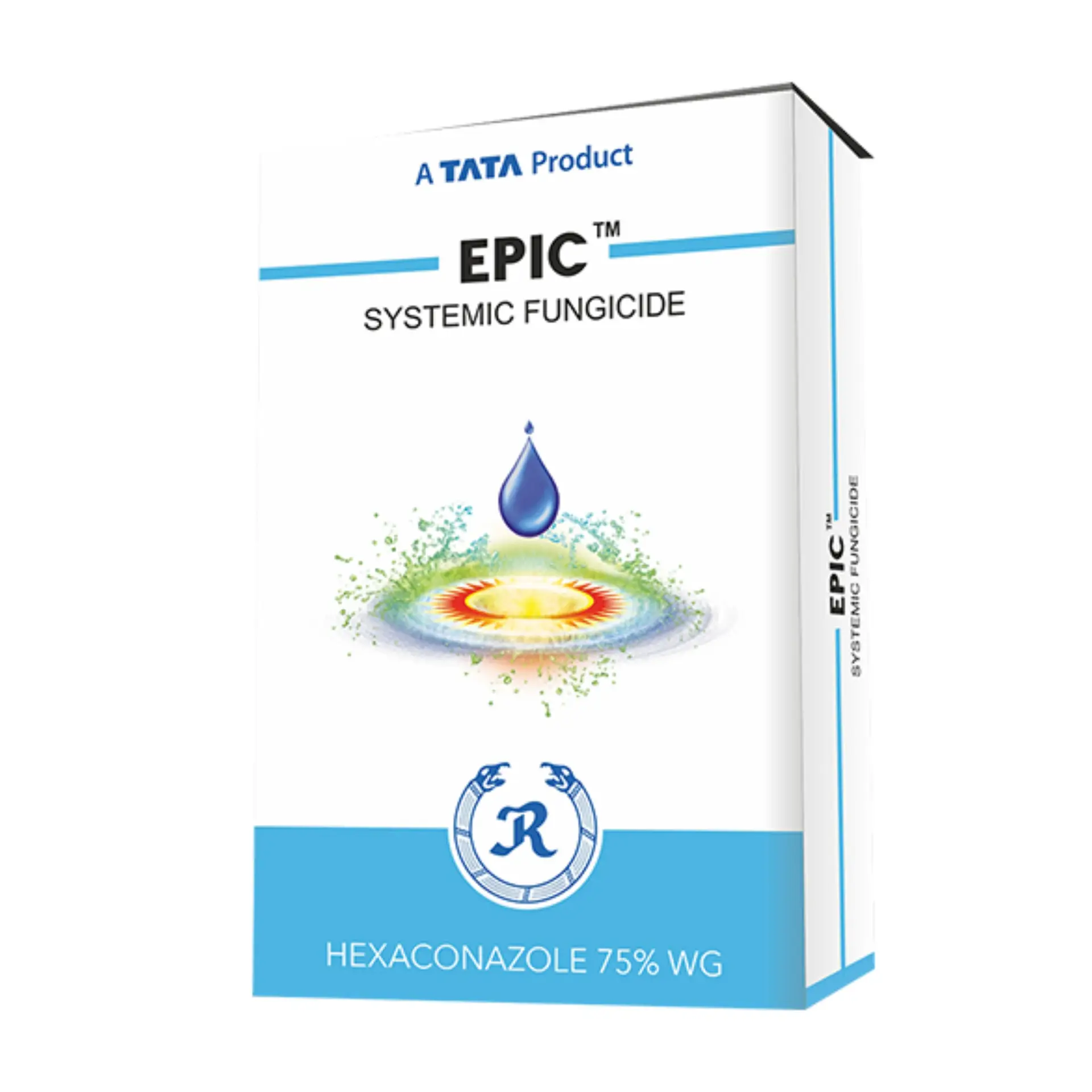 Epic Epic - Image 1