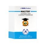 Master