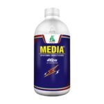 Media