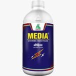 Media