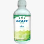 Craze