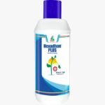 Hexadhan Plus