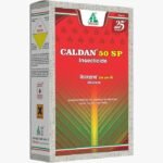 Caldan 50 SP