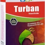 Turban