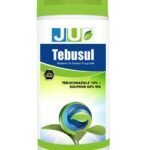 TEBUSUL