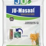 JU MASAAL