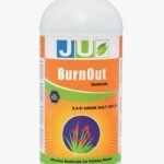 BURN-OUT