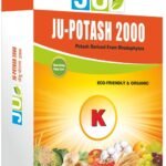JU POTASH 2000