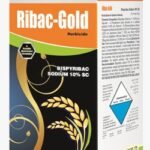 RIBAC-GOLD