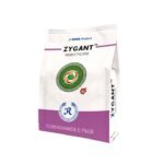 Zygant