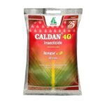 Caldan 4G