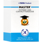 Master