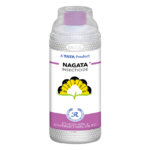 Nagata