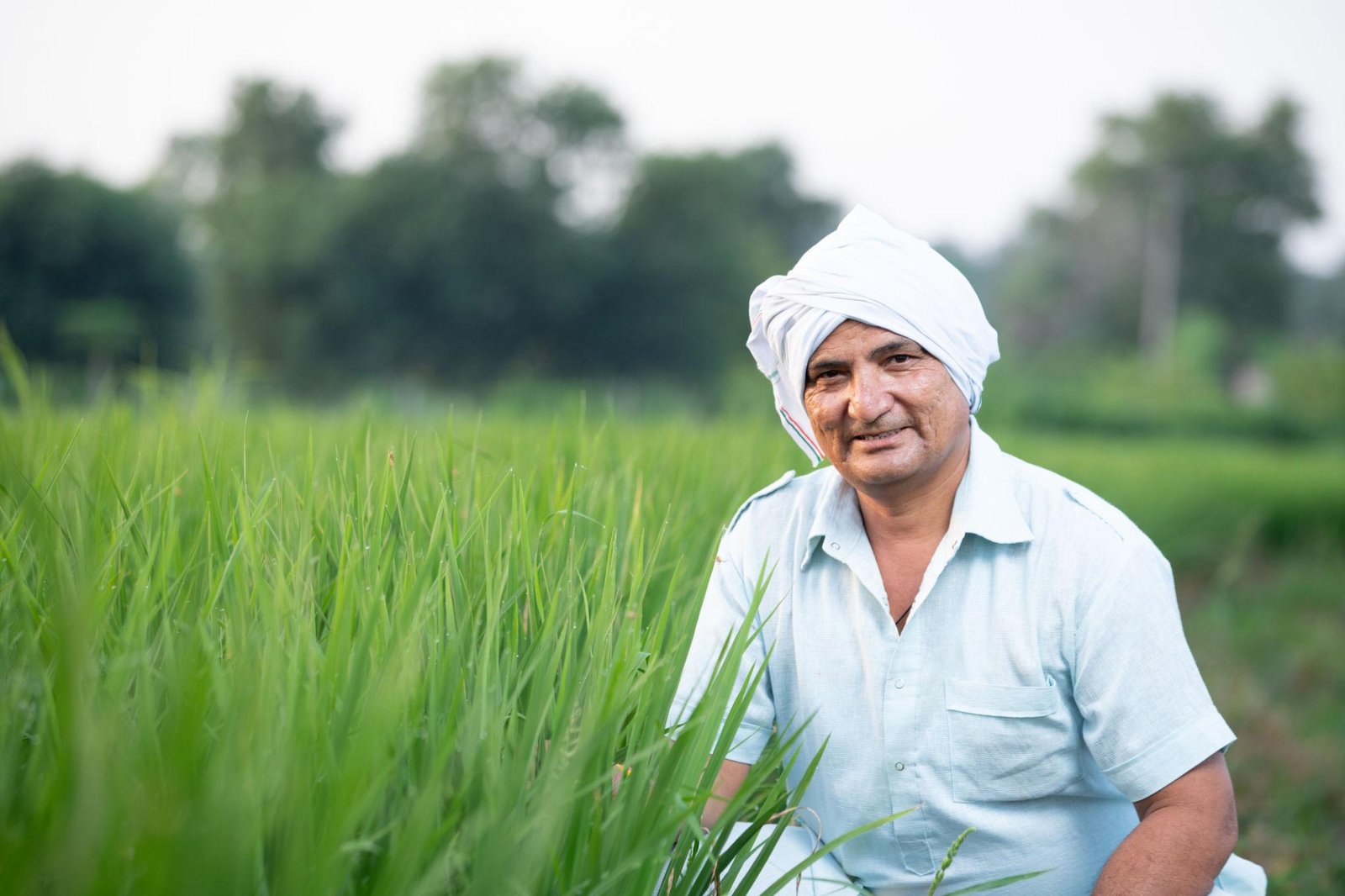 Janasahayak - Supporting Farmers