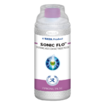 Sonic Flo