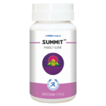 Summit