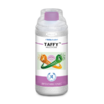 Taffy