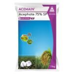 ACEMAIN