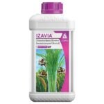 IZAVIA
