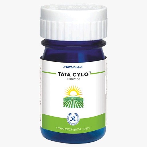 TATA CYLO TATA CYLO - Image 1