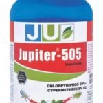 JUPITOR
